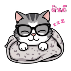 Mochi cute and naughty cat