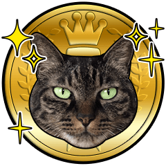 キジトラと灰色とハチワレ