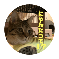 くらりスタンプまとめ