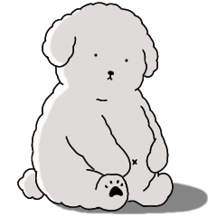 (自称)中年太りのトイプードル5