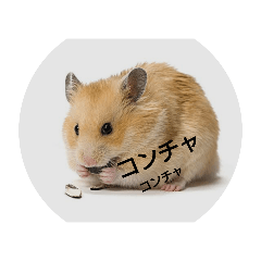 ハムハムスタンプ初期