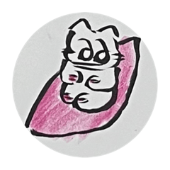 にゃんちゃん、不思議。、。