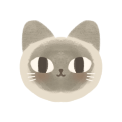 Daray_20250814112707