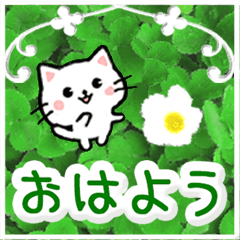 飛び出す！大人やさしい野の花とネコ