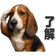 毎日使える！かわいいバセットハウンド