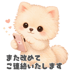 大人かわいい「丁寧語＆気づかい」白ポメ