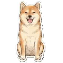 CoCo on the way life