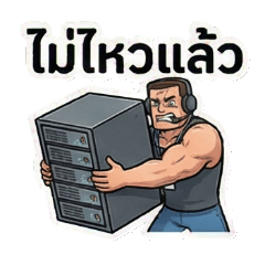 The Sarcastic Swol IT Specialist