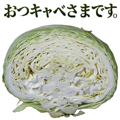 敬語キャベツ