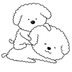 モフモフな犬、白