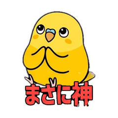 【限界オタク】インコ仕事がんばる