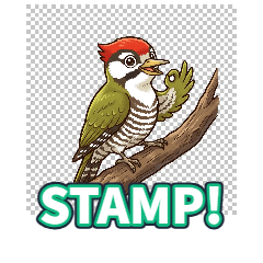 Japanese Green Woodpecker