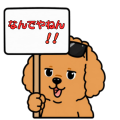 トイプー先輩の愛ある毒舌