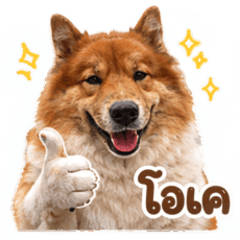 It's Me, bue!
