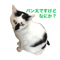 パン太とパレ子の日常スタンプ　その1