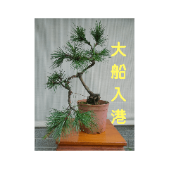 Ashley_20211122203311