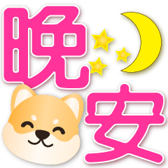 Cute Shiba -Practical Life Phrases