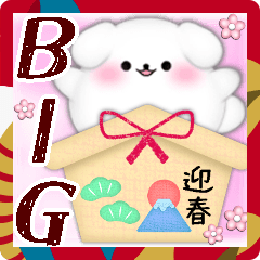 【BIGマルチーズ】毎年使える♥年末年始6