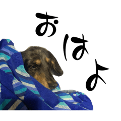 ちゃことはなの日常スタンプ