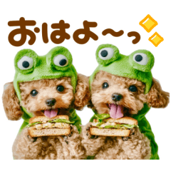 梅雨初夏♡といぷー