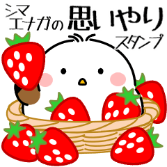 飛び出す！シマエナガの思いやり