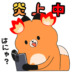 炎上狐と仲間たち