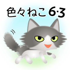 色々な猫6-3 長毛-立ち耳-グレー白
