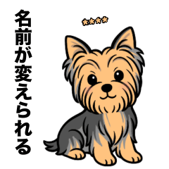 名前入りヨーキーブルータン