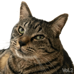 元ガチ野良猫・プロの紳士なスタンプVol.2