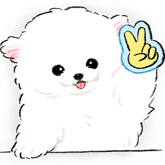 赤ちゃんわんこたち！3 (色んな犬種)