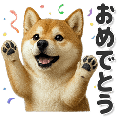 毎日使える！かわいい豆柴