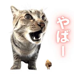 猫スタンプで気持ちを伝える③