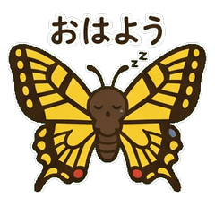 アゲハ蝶がやってきた!