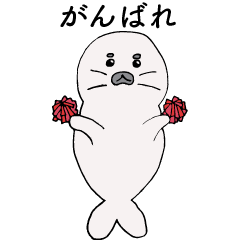 アザラシのいる暮らし