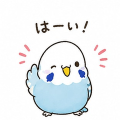 Fluffy Budgerigar