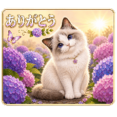 猫花 - 静かな灯りの猫スタンプ 02