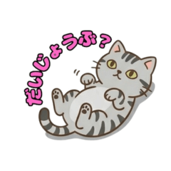 Everyday Stickers: American Shorthair