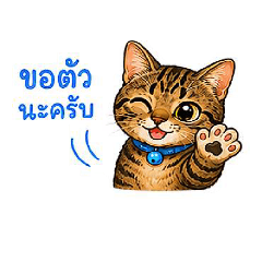 Lucky Dizzy Meow work