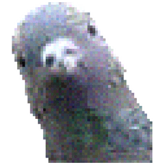 【ガビガビ】鳩３