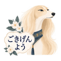 気品あるサルーキのお嬢様敬語
