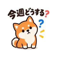 Shiba Weekly Schedule