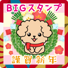 BIGかわいい♥トイプー日和の年末年始14