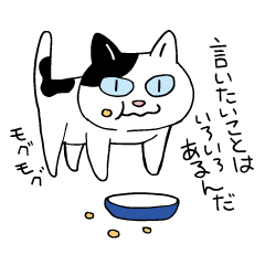 猫のマルチェロと仲間たち