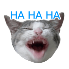 かわいいアッシュくん2