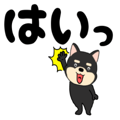 【デカ文字】柴犬のしば吉22