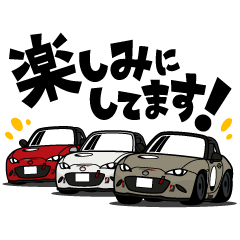 大好き！15年代コンパクトオープンカー4