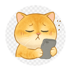 momay_20250906161459