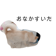 くるりのスタンプ②