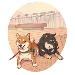 DogeBros2