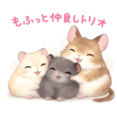 Fluffy friendly trio